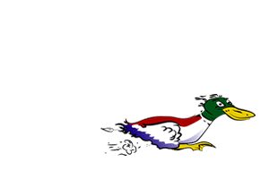 Duckys Boats